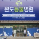 완도스타일 이미지