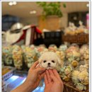 광주강아지분양 펫블리 애견 샵 이미지