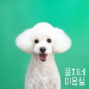 뭉치네 미용실 이미지