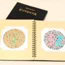 2000 안경이야기 이미지