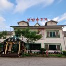 맛짱손두부 이미지