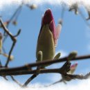 경상유치원 이미지