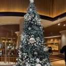 알파사우나 | 구 파라스파라 '안토 호텔' 팀버주니어 호캉스 내돈내산 솔직후기