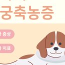 협성동물병원 이미지