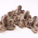 맛있는 쭈꾸미집 이미지