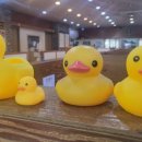 (주)마포오리구이 이미지