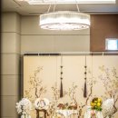 소노캄 고양 이미지