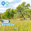 용산-이촌-28 이미지