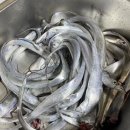 아이젠트리제주외도점 이미지