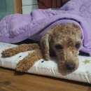 동무농장 이미지