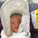 하얀미의원 | 하남 미사린 경산모 둘째 제왕절개 출산 후기