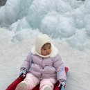더 초리골 | 파주 아기랑 눈썰매장 초리골 눈썰매장 주말 방문 후기