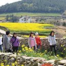 운동의 미학 이미지