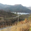 힐하우스 태양광발전소 이미지