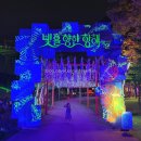 가야-14 | 김해가야테마파크 빛축제 직접 다녀온 후기 | 평일찬스, 눈치싸움 대성공