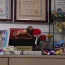 유아 태권도 이미지