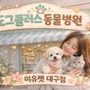 도그플러스 동물병원 이미지
