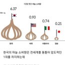 압도적인 대한민국 마늘 소비량의 비밀 이미지