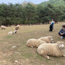 미동목장 이미지