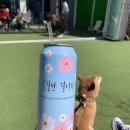 라운지독 이미지