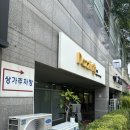 루이애견 | [신풍역] 애견미용 추천, 루이 곰돌이컷 후기 🐶