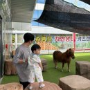 쥬뗌므 | 시흥 아기랑 가볼만한곳! 쥬뗌므 키즈랜드 후기 (주차, 식당 등)