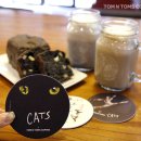 캣츠앤 이미지