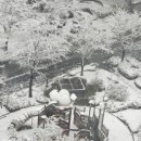 아리수로 50길 이미지