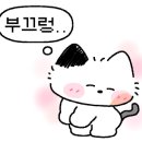 피티스튜디오펄스 이미지