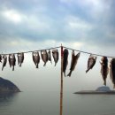 만리스크린 이미지