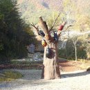 문산2리 이미지