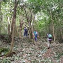 제주평화음악회 이미지