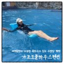 애견풀하우스 | 거제 애견동반 펜션 가조도 풀하우스 펜션 숙박 솔직후기