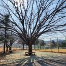 구정체육공원 이미지