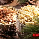 그린오션 이미지