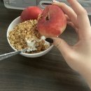 연세오피스넷 | 1월 셋 째, 넷 째 주 (미국던킨도너츠알바후기, 실험실 인턴의 삶, 풀러튼식물원, 라구나하이킹코스추천...