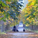 경주산림환경연구원 이미지