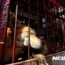 황구건강원 이미지