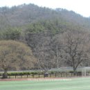 석교초교 이미지