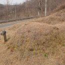 왕순례 묘 Daum카페