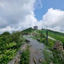 2026년 5월 17일 정선 운탄고도(백운산 1426m) 정기산행 이미지
