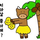 장터정육점 이미지