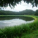 모량부 무산대수촌 순례 - 10. 운대리 부운촌(浮雲村) 이미지