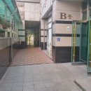 신일아르디세 이미지
