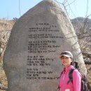 매실농장 이미지