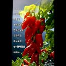심심커피 이미지