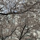 스이텐