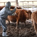 하향농장 이미지