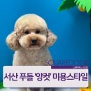 스퀘어독스 서산점 이미지