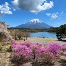 내가찜한닭구평점 | 일본 후지산 힐클라임 + 5대호, 후지산 배경 SNS 유명 포토스팟 3박4일 라이딩투어 (26년1월16일 Update...